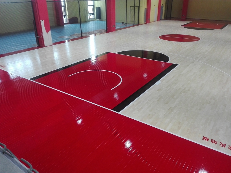 �w�����^����