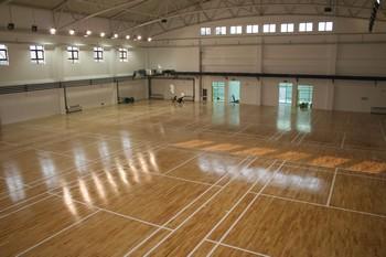 �\��ľ��雵��o������Щ��