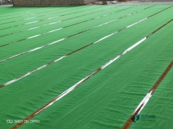 25���\���w�����Ҫ�����X