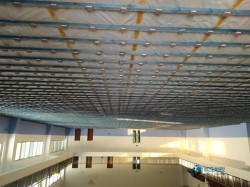 25���w����零����X����