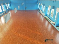 �Ό����ǻ@���w�����ʩ���M��