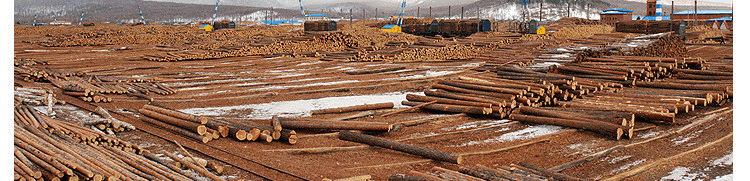 �@���ľ�����Ҫ���ǆ�