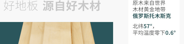 �@����p������ľ�|���